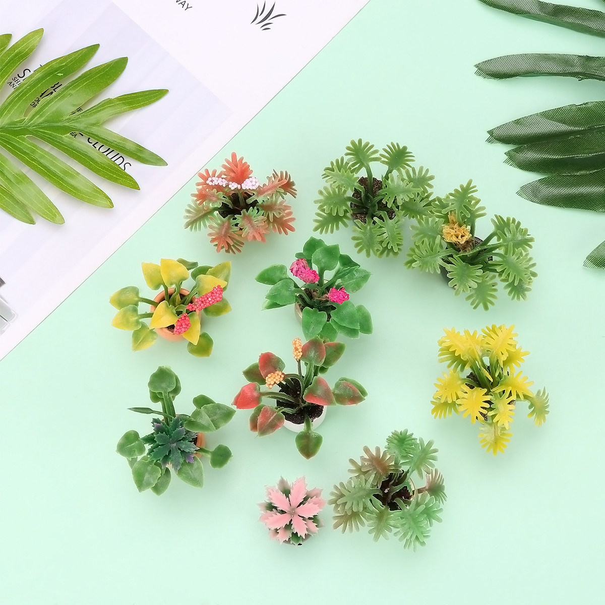 Bonsai Garden World - 10 pièces de mini bonsaïs colorés