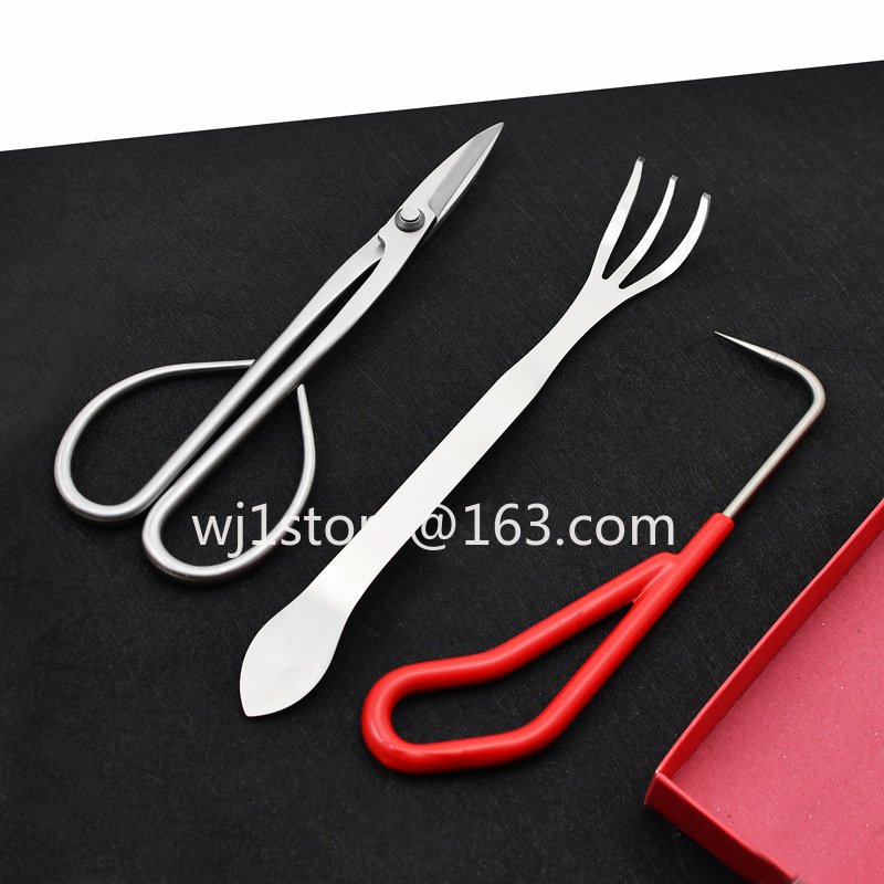 Root Hook Tool - Ciseaux à bonsaï en acier inoxydable
