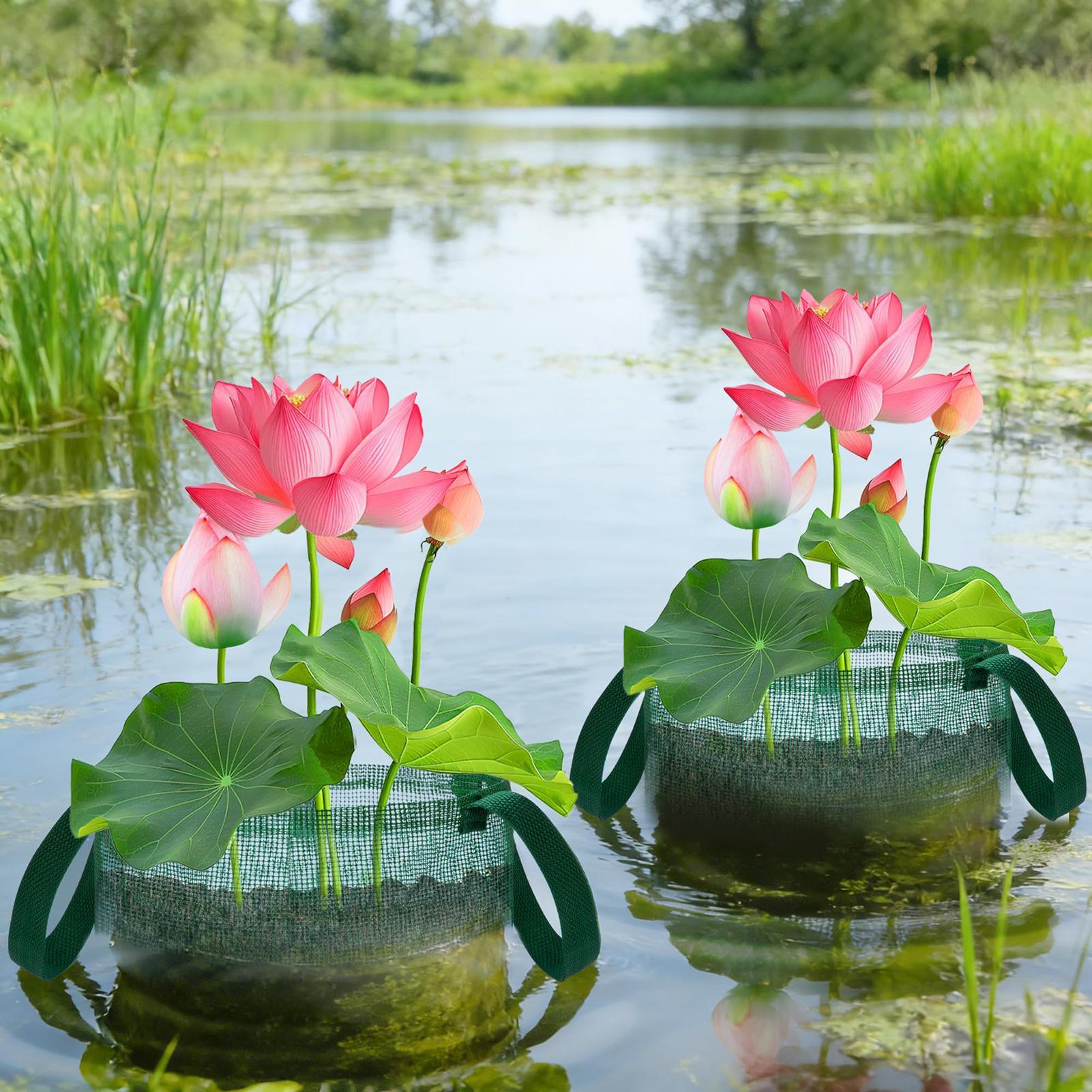 Bonsai Garden With Pond - Paniers pour plantes aquatiques 4 pièces,
