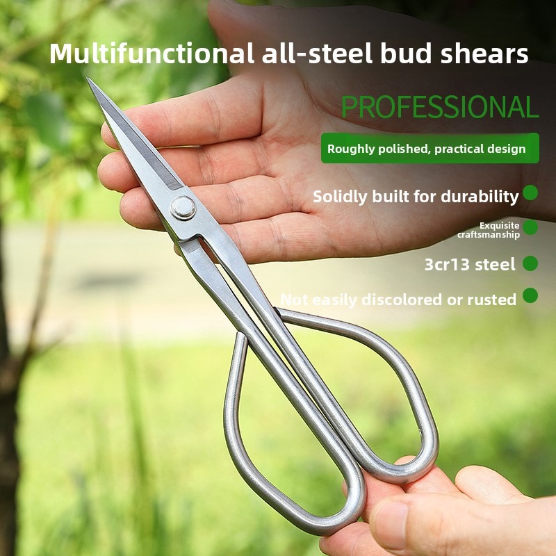 Bonsai Tool Set - Ciseaux à feuilles tendre, outils pour