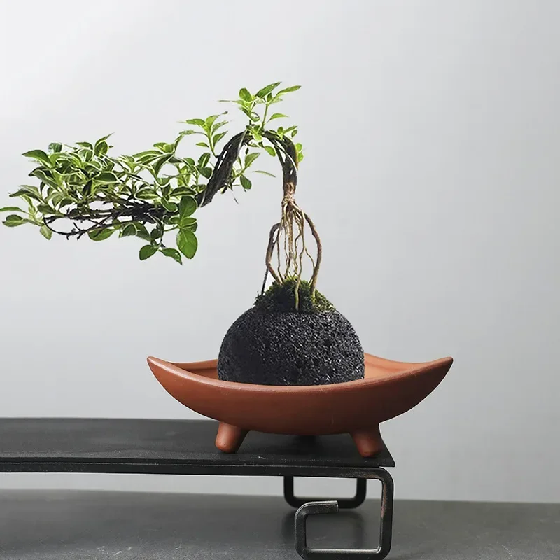 Japanese Garden Bonsai - Pots de fleurs en céramique personnalisés