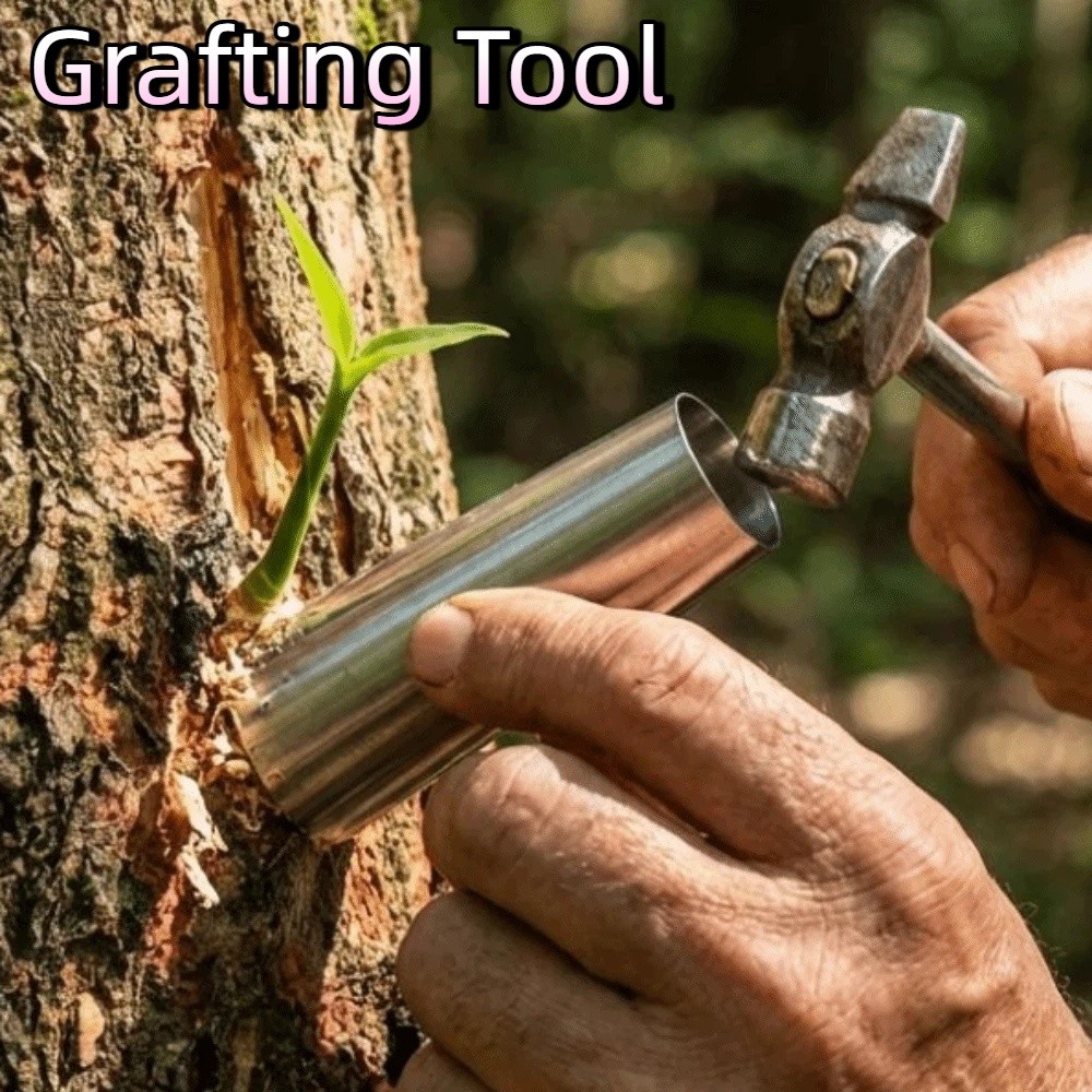 Bonsai Tool Set - Lot de 5 outils de greffage