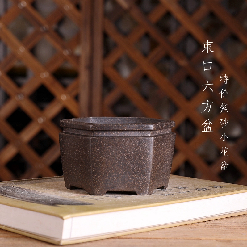 Bonsai Garden With Sand - Pot à bonsaï hexagone, sable violet,
