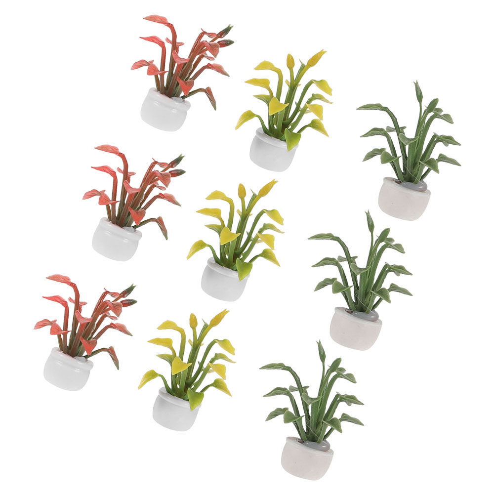 Bonsai Garden With Sand - 9 Pièces de Plantes Miniatures en