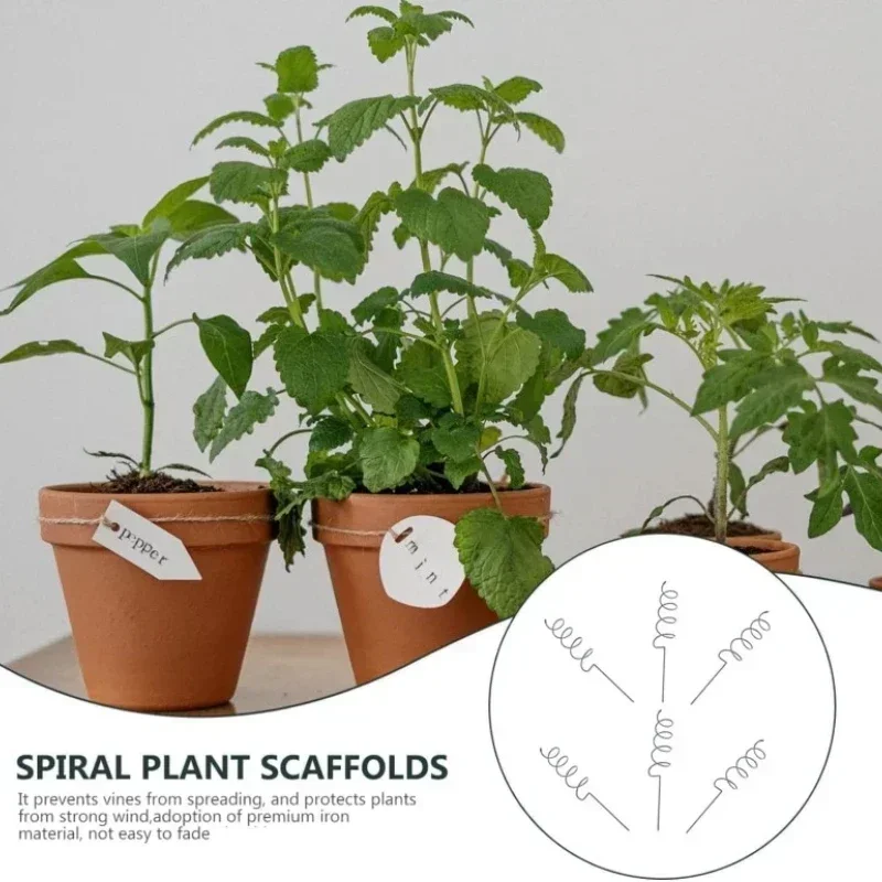 Support de plantes grimpantes, - Bonsai Gardener avis et prix