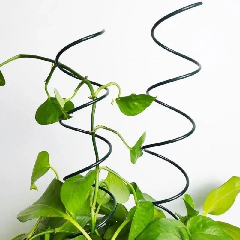 Support de plantes grimpantes, - Bonsai Gardener avis et prix