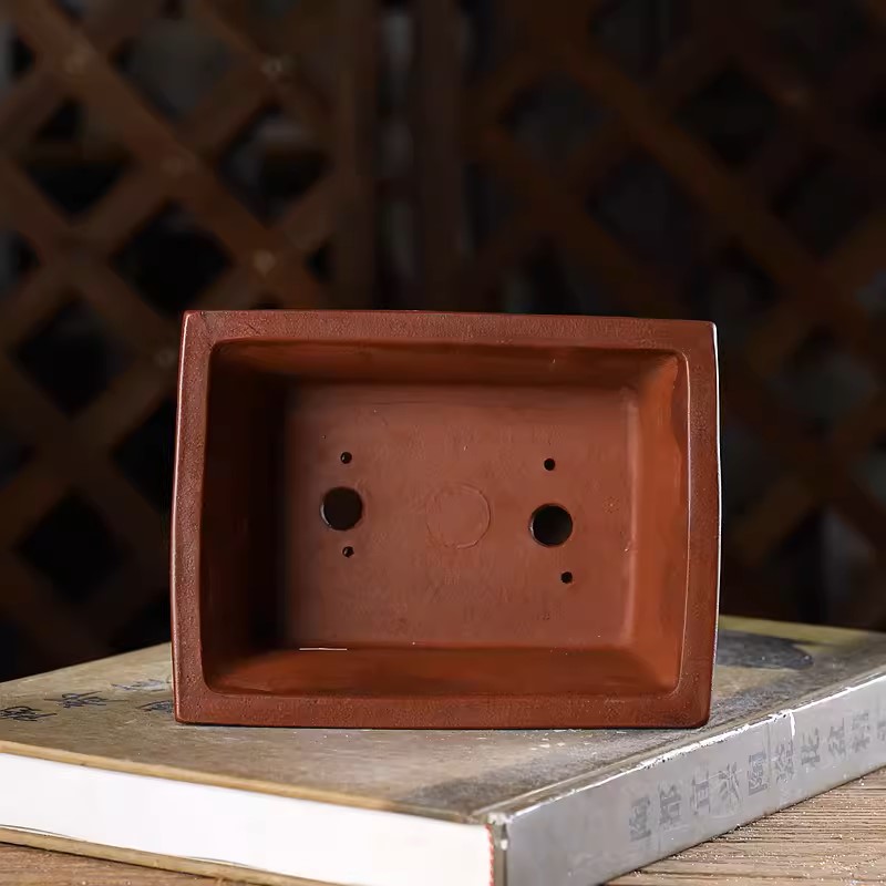 Pot de bonsaï rectangulaire sc - Bonsai Garden With Sand avis et prix