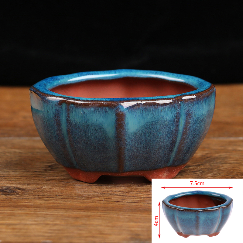 Mini Pot de fleurs bonsaï en c - Japanese Garden Bonsai avis et prix
