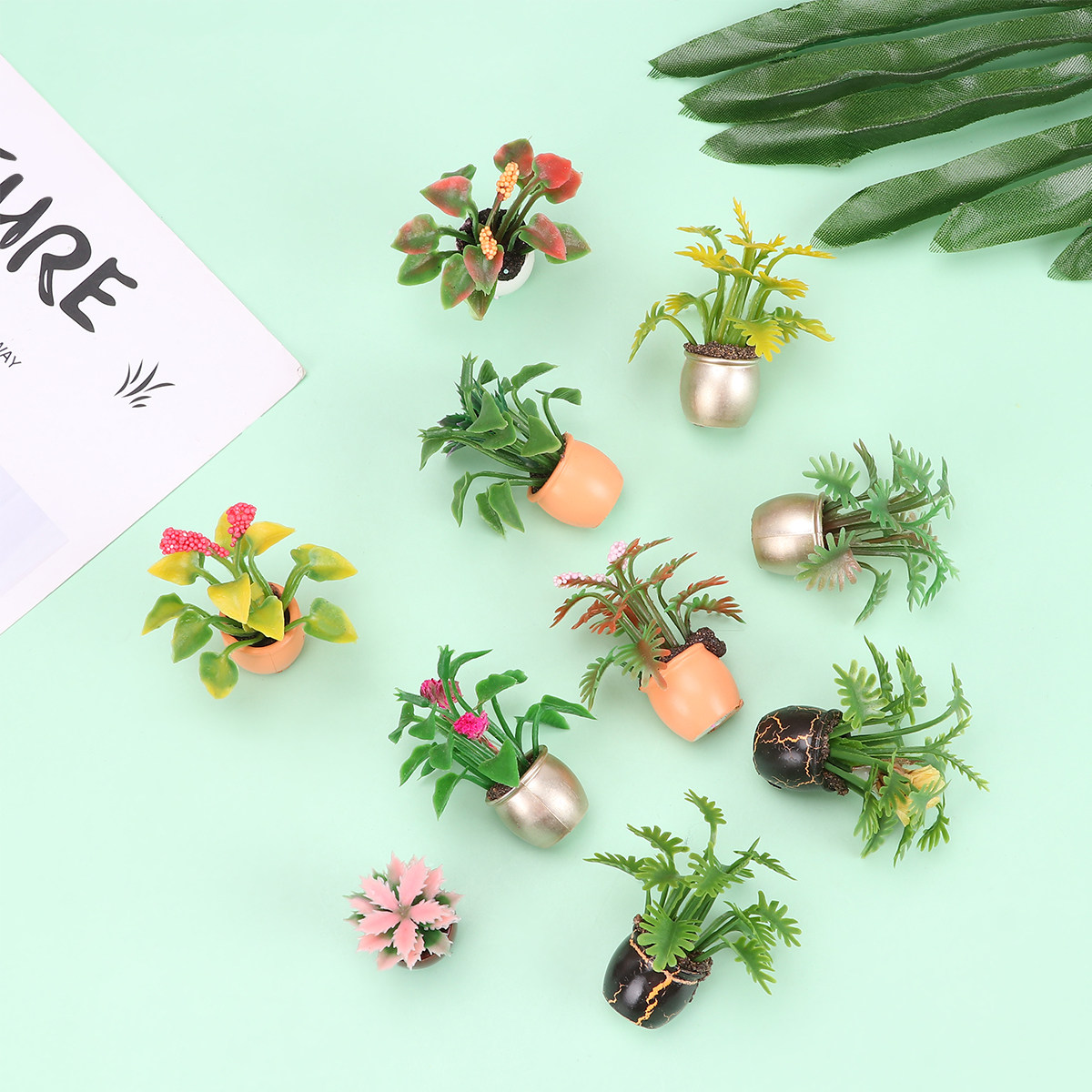 10 pièces de mini bonsaïs colo - Bonsai Garden World avis et prix