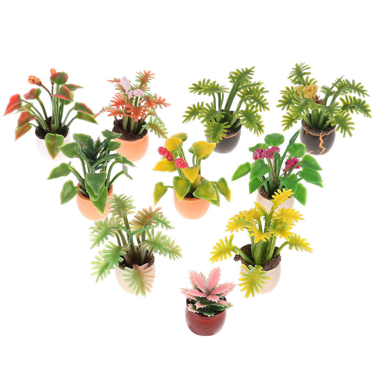 10 pièces de mini bonsaïs colo - Bonsai Garden World avis et prix