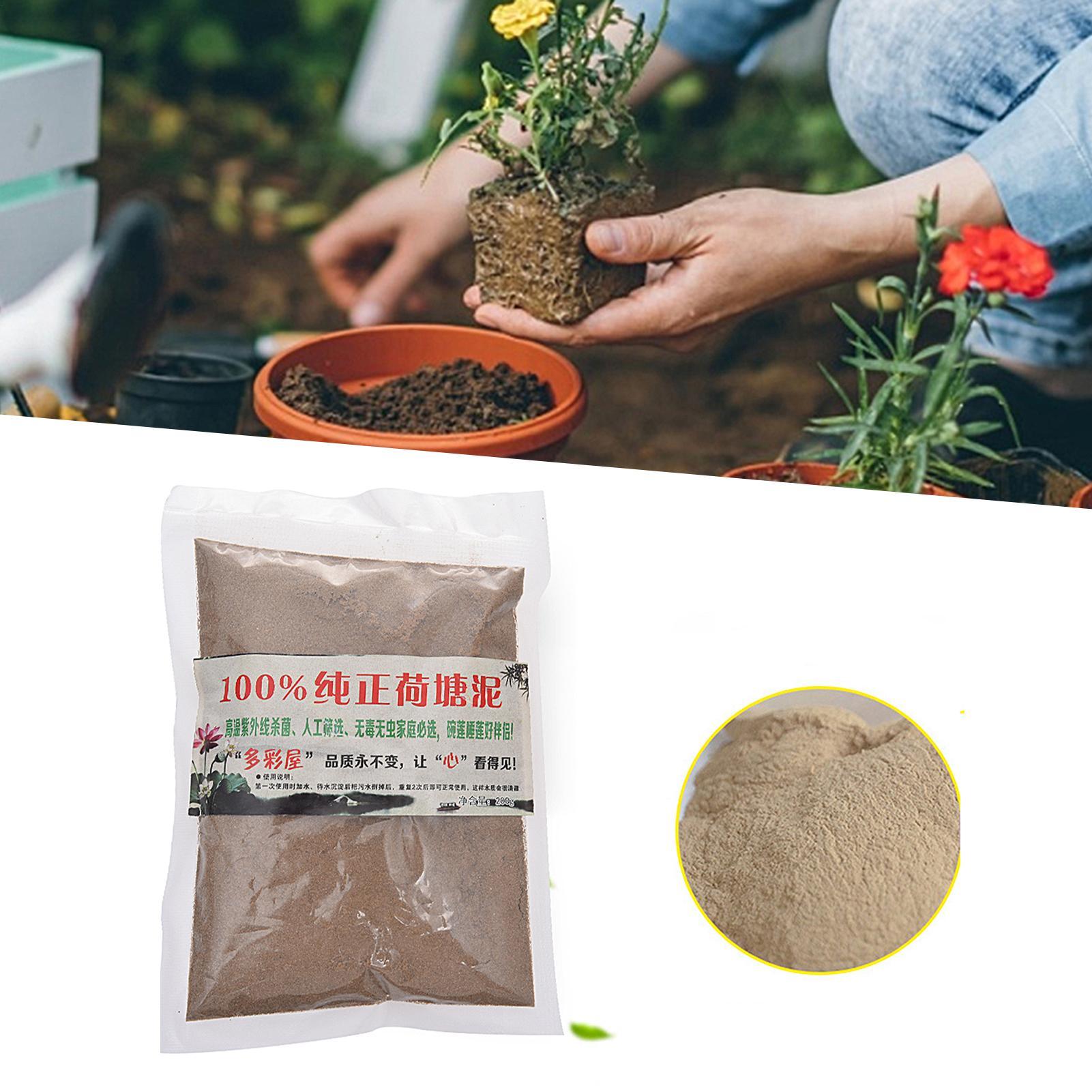 Sable de lotus naturel pour ja - Bonsai Garden With Pond avis et prix