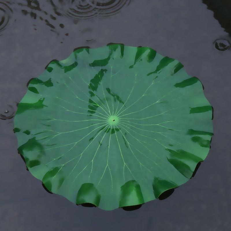 Nouvelles feuilles de lotus ar - Bonsai Garden With Pond avis et prix