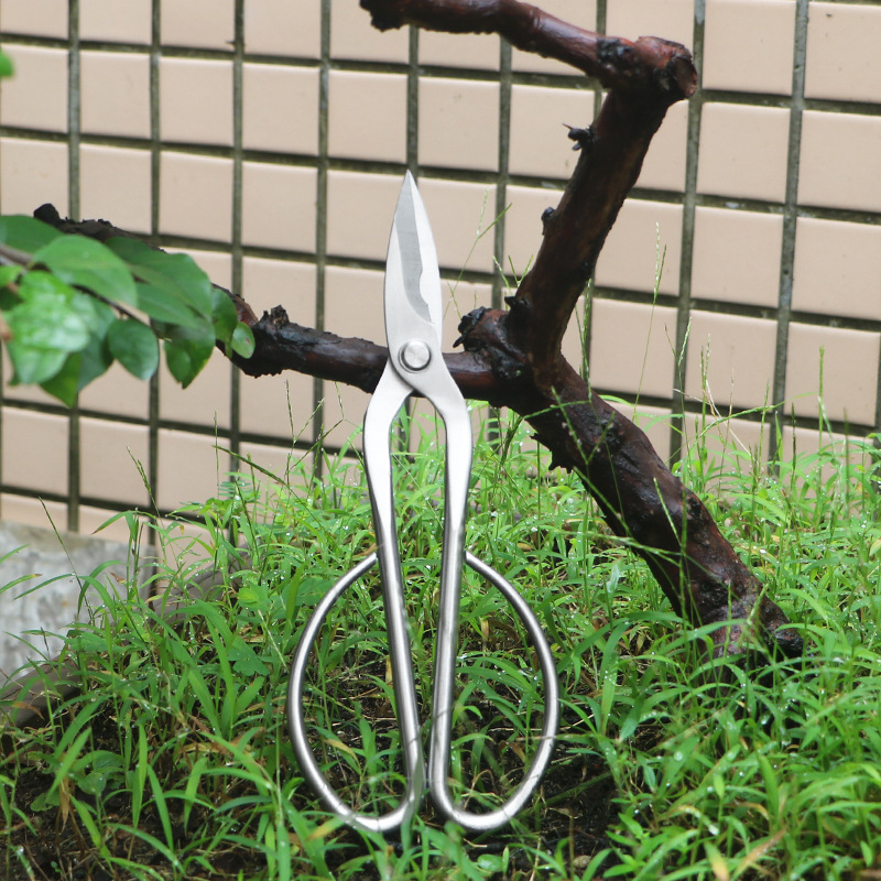 Ciseaux de jardin tout en acie - Bonsai Tool Set avis et prix