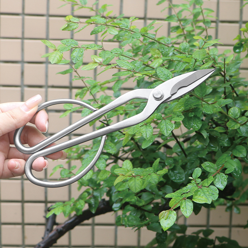 Ciseaux de jardin tout en acie - Bonsai Tool Set avis et prix