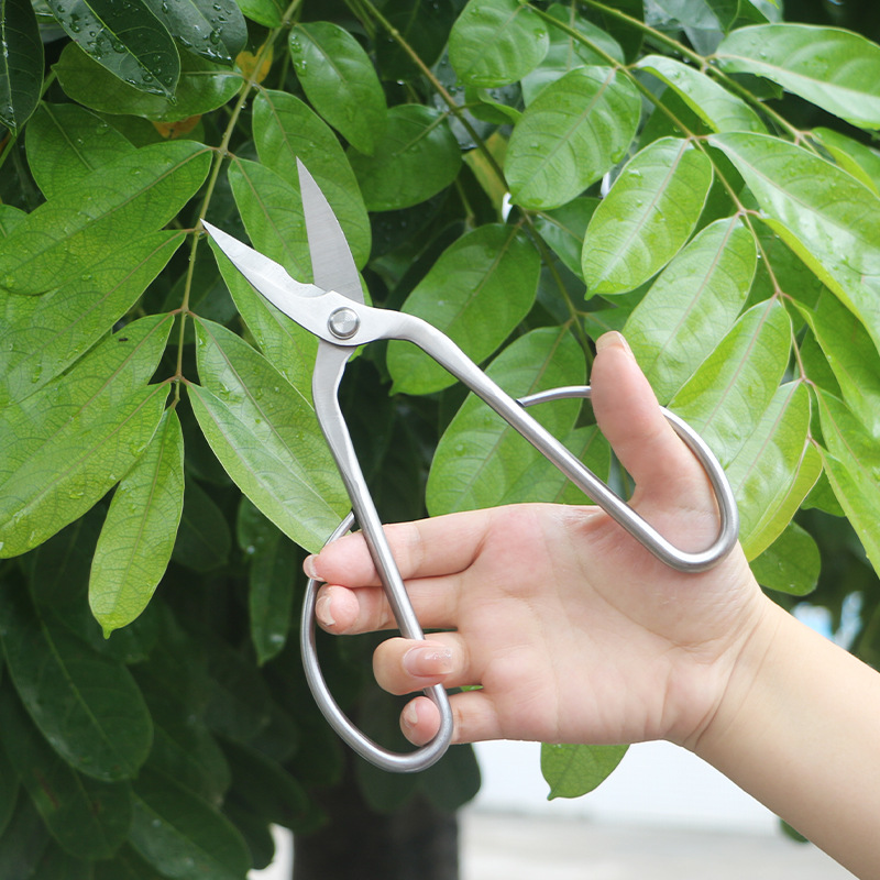 Ciseaux de jardin tout en acie - Bonsai Tool Set avis et prix