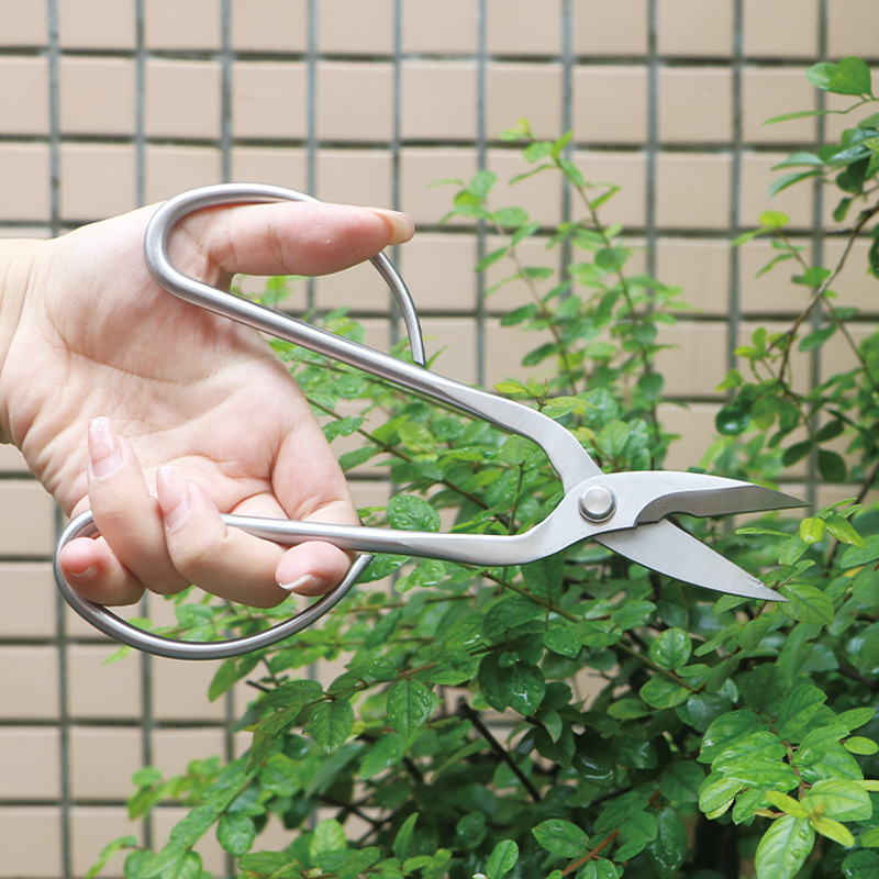 Ciseaux de jardin tout en acie - Bonsai Tool Set avis et prix