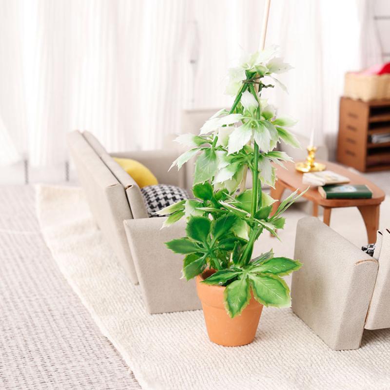 Simulation de plantes vertes p - Bonsai Gardener avis et prix