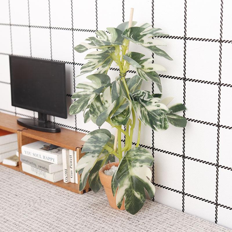 Simulation de plantes vertes p - Bonsai Gardener avis et prix