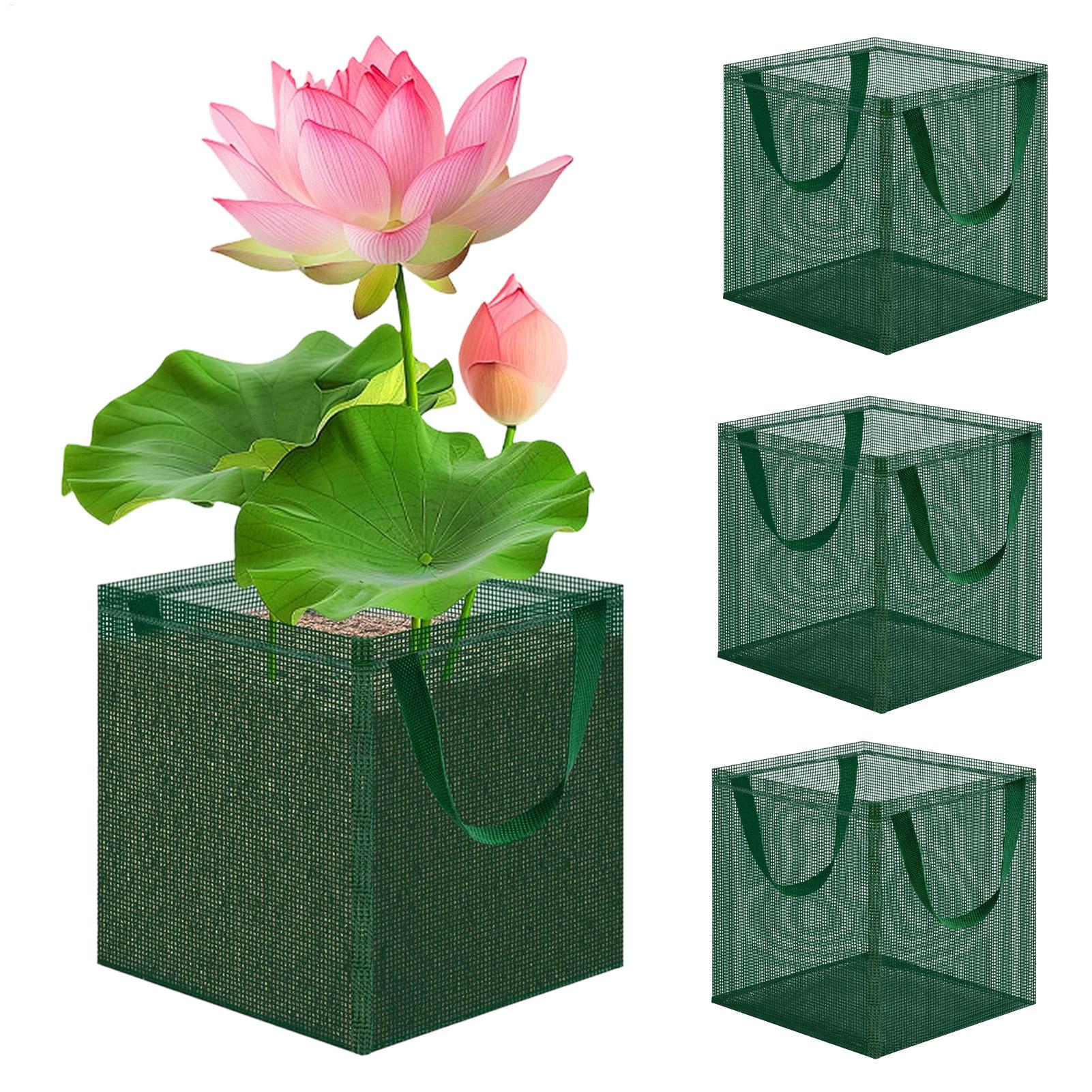 Paniers pour plantes aquatique - Bonsai Garden With Pond avis et prix
