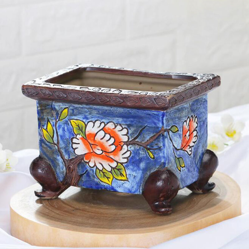 Pot de plante succulente en cé - Japanese Garden Bonsai avis et prix