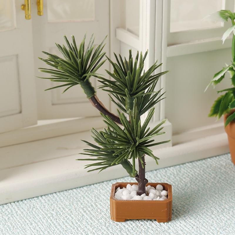 1 pièce, modèle de bonsaï de p - Bonsai Gardener avis et prix