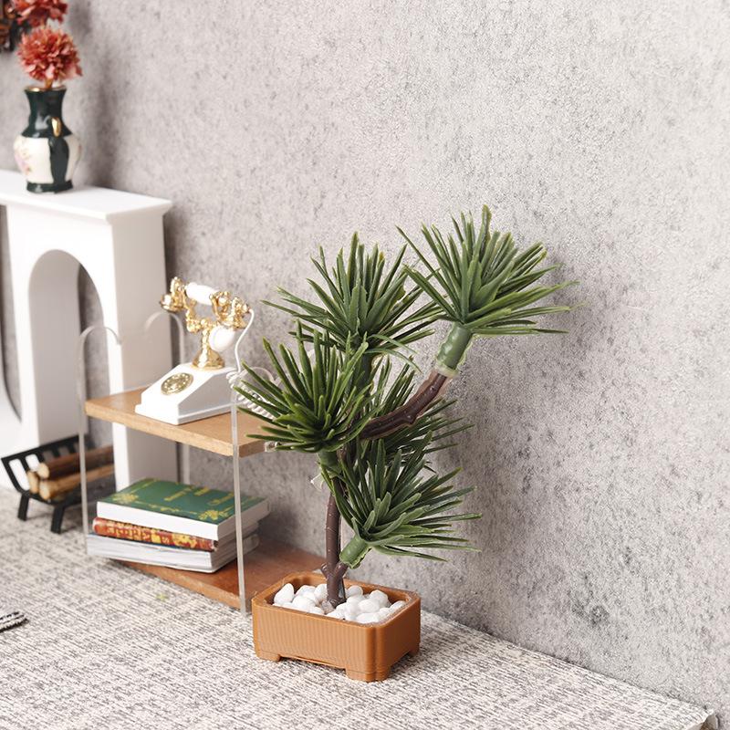1 pièce, modèle de bonsaï de p - Bonsai Gardener avis et prix