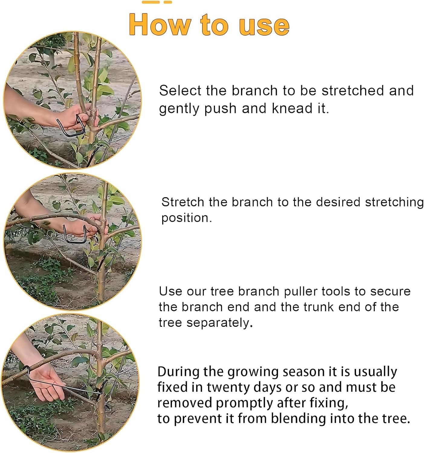 Ajusteur de branches d'arbres  - Bonsai Gardener avis et prix