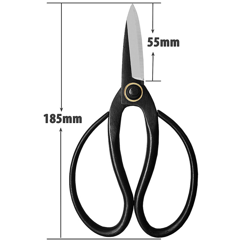Ciseaux à bonsaï professionnel - Bonsai Tool Set avis et prix