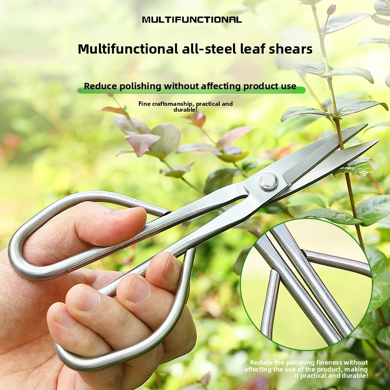 Ciseaux à feuilles tendre, out - Bonsai Tool Set avis et prix