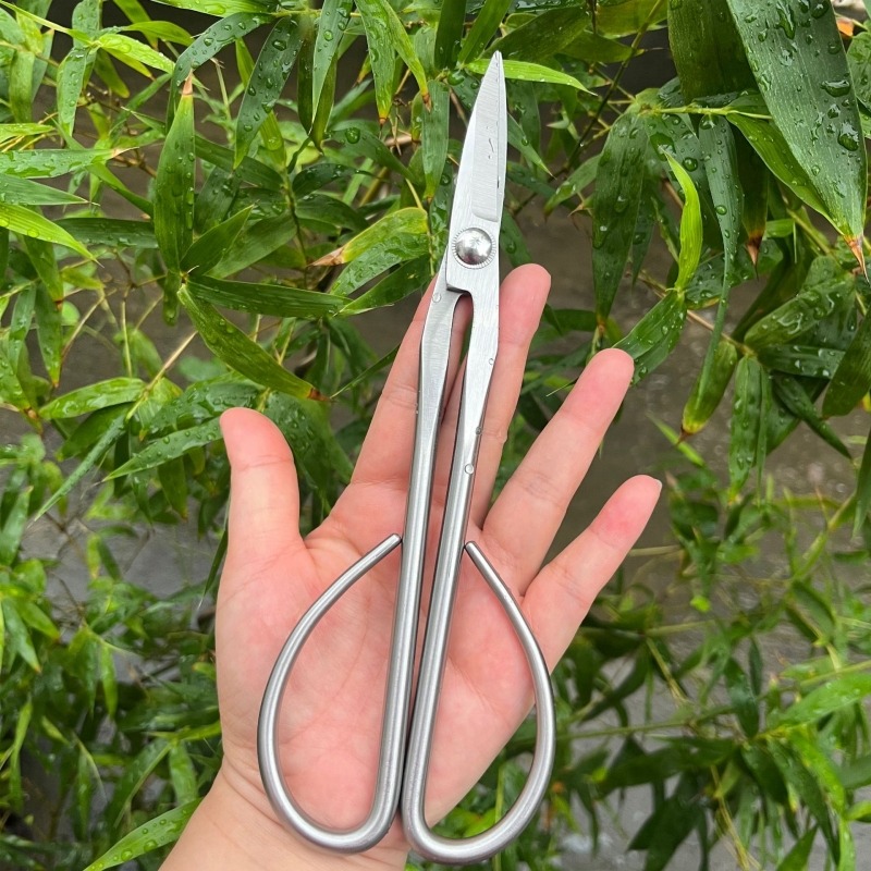 Ciseaux à feuilles tendre, out - Bonsai Tool Set avis et prix