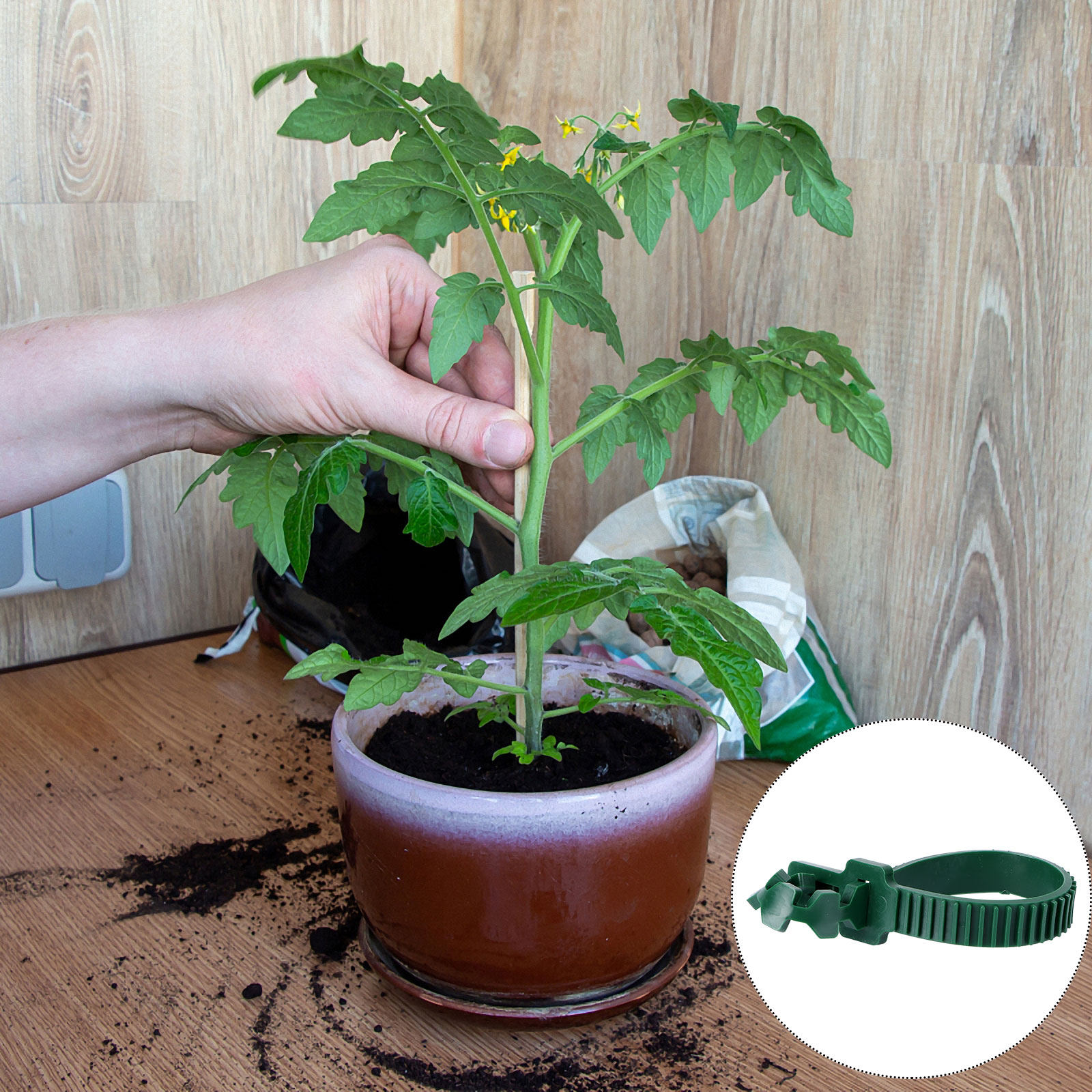 20 pièces de boucles de fixati - Bonsai Gardener avis et prix