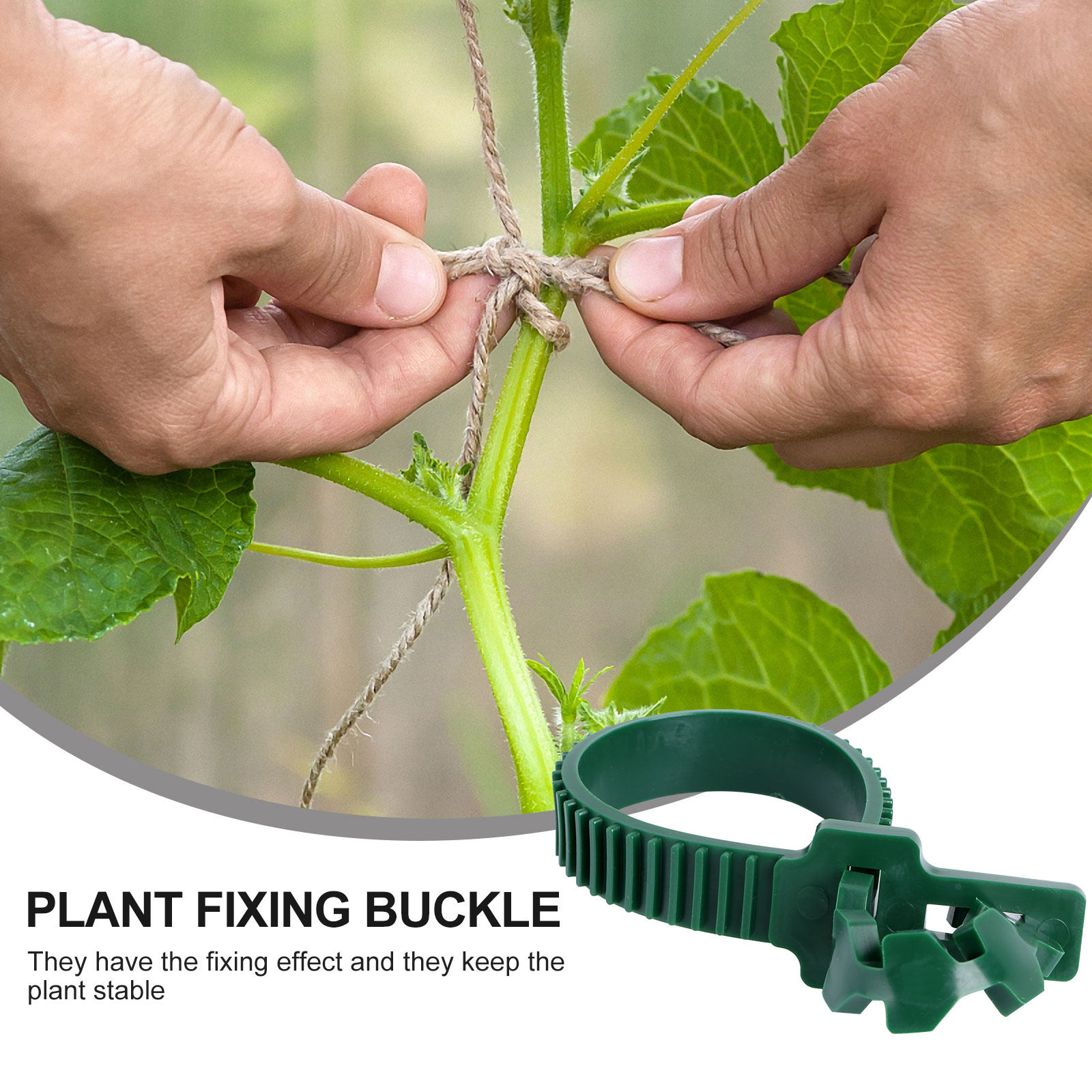 20 pièces de boucles de fixati - Bonsai Gardener avis et prix