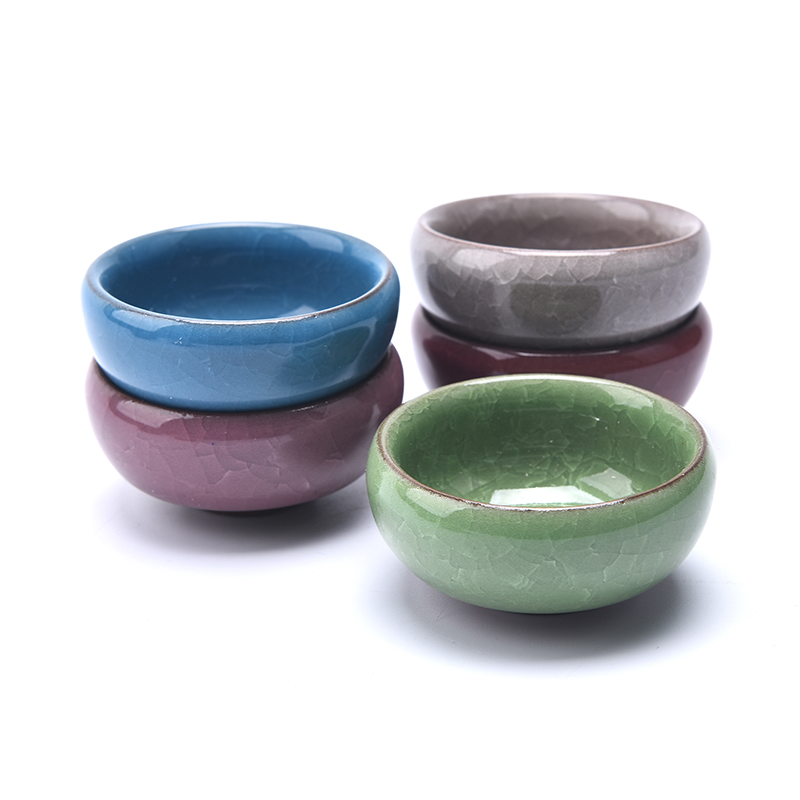 Mini jardinière succulente en  - Japanese Garden Bonsai avis et prix