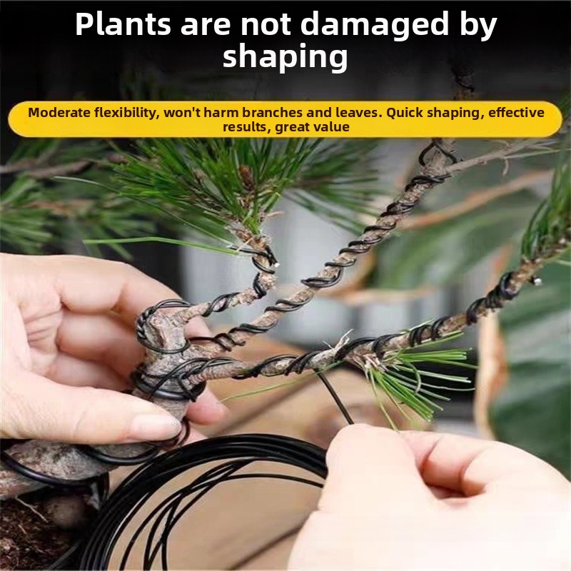 Fils de bonsaï en aluminium de - Bonsai Gardener avis et prix