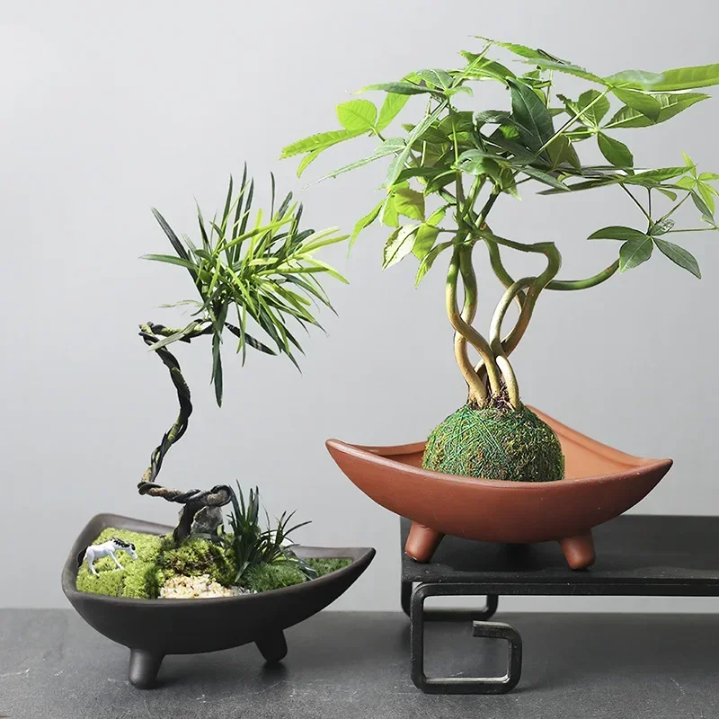 Pots de fleurs en céramique pe - Japanese Garden Bonsai avis et prix
