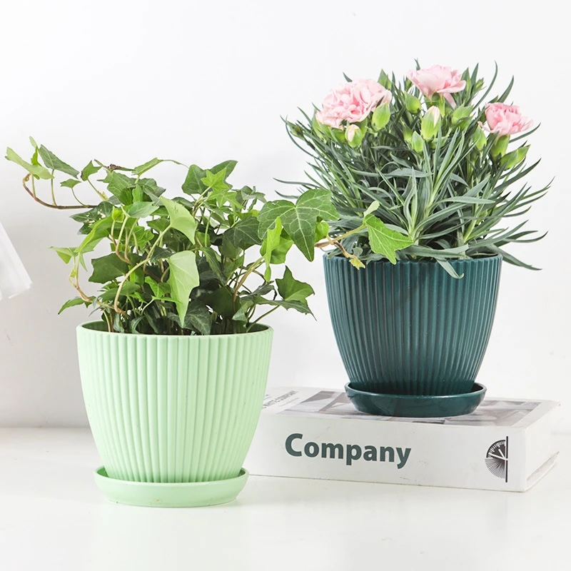 Pot de fleur rond succulent av - Japanese Garden Bonsai avis et prix