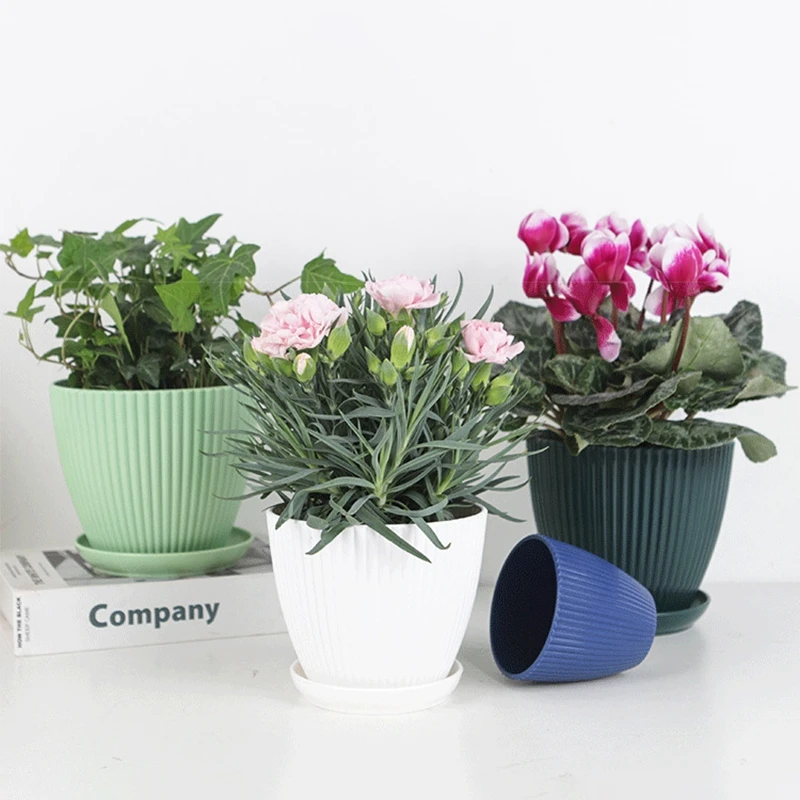 Pot de fleur rond succulent av - Japanese Garden Bonsai avis et prix