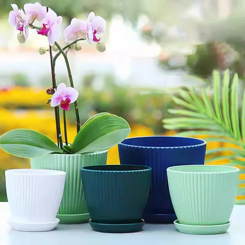 Pot de fleur rond succulent av - Japanese Garden Bonsai avis et prix