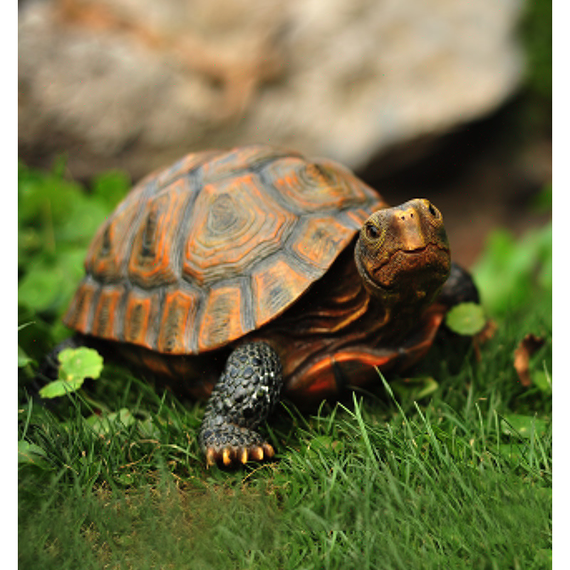 Statue de tortue en résine mig - Bonsai Garden With Pond avis et prix