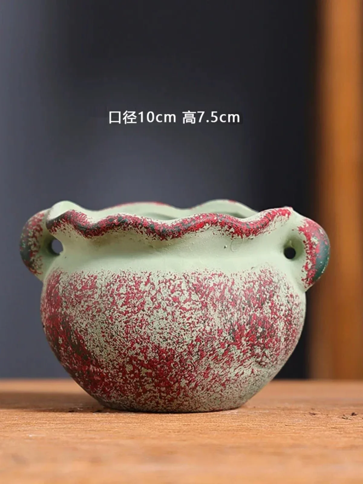 Pots de fleurs succulentes méd - Japanese Garden Bonsai avis et prix