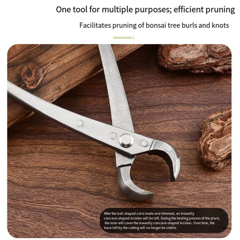 ABGH-Ensemble d'outils pour bo - Root Hook Tool avis et prix