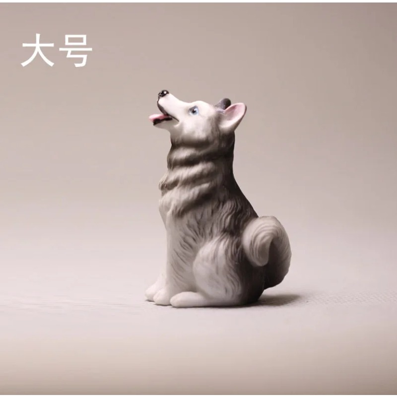 Mignon Husky fée jardin Miniat - First Bonsai Garden avis et prix