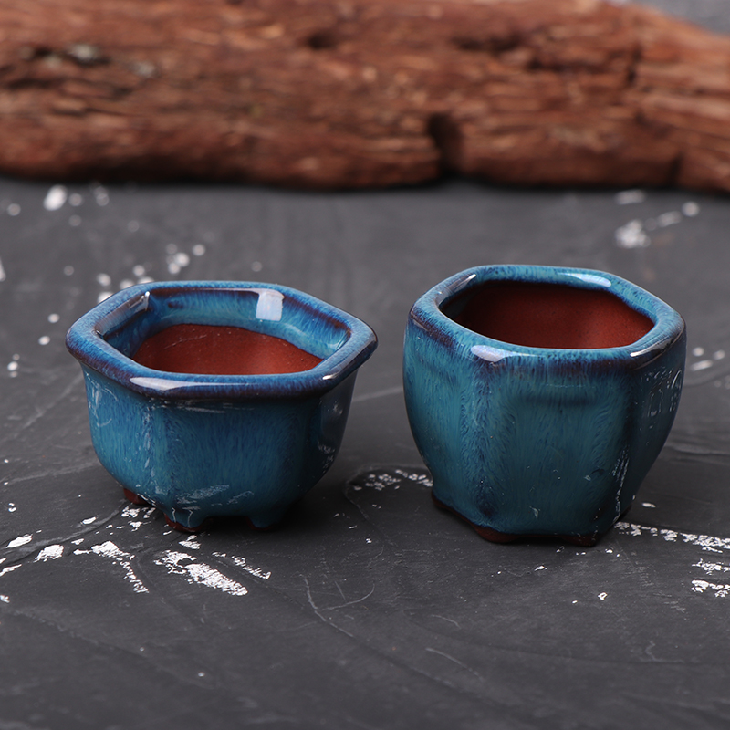 Mini pots de fleurs avec trous - Bonsai Garden With Sand avis et prix