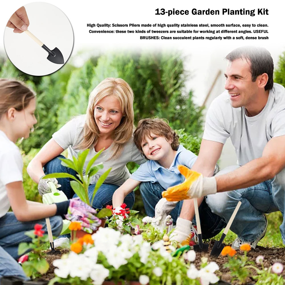 Outils pour plantes succulente - Bonsai Tool Set avis et prix