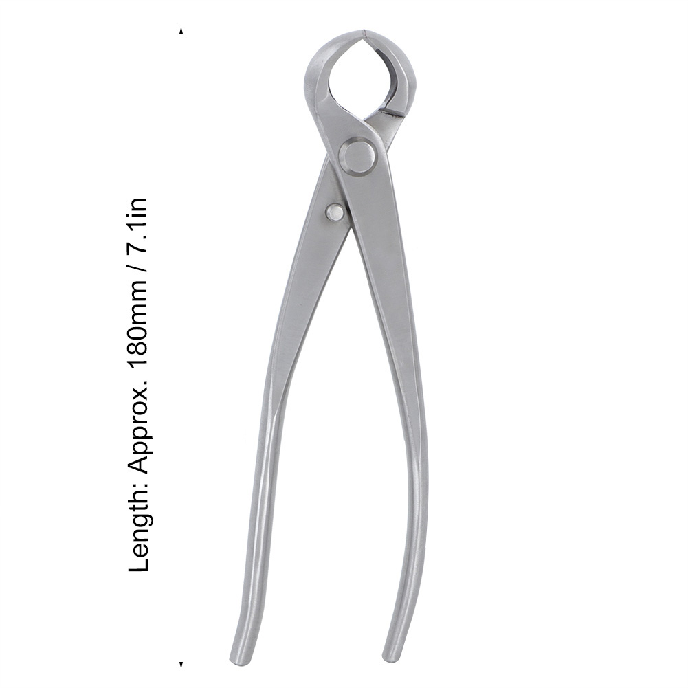 Coupe-bouton Concave 180mm en  - Bonsai Tool Set avis et prix